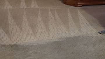 Carpet-steam-cleaning-in-hollywood